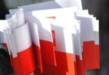 Polonia Amerykańska jako strategiczny partner Polski