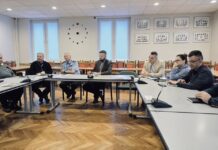 Dziki w mieście – urzędnicy szukają rozwiązań