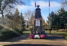 Leoncin dla Niepodległej