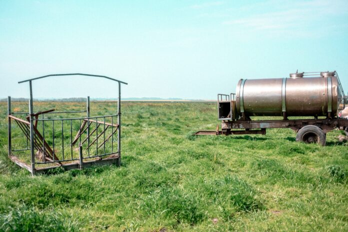 pagna-chhun-naPvG-bl2e8-unsplash-6923a234c2838