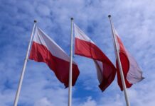 Strategia przyciągania kapitału Polonii do Polski