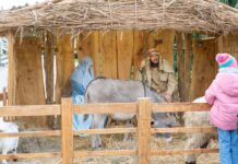 Leoncin w świątecznym rytmie