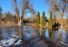 Wkra wdziera się do domów