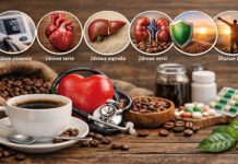 Szkodliwość kawy jest mitem