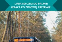 Linia 800 wraca na trasę