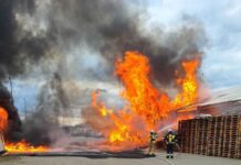 Potężny pożar hali magazynowej w Łomnie